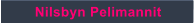 Nilsbyn Pelimannit